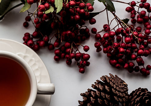 Acorn Berry Tea