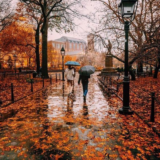 rainy day with orange leaves