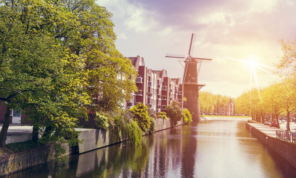 a canal going into the distance, with buildings lining the left side with a few large trees